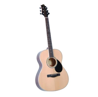 GregBennett GA100S/N