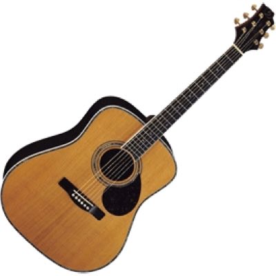 GregBennett GJ100S/N