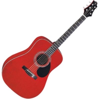 GregBennett D4/TR