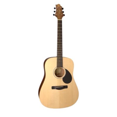 GregBennett GD50/OPN