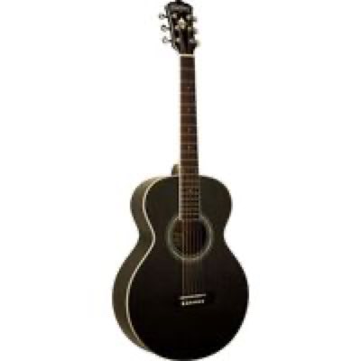 WASHBURN WMJ5S-B акустическая гитара