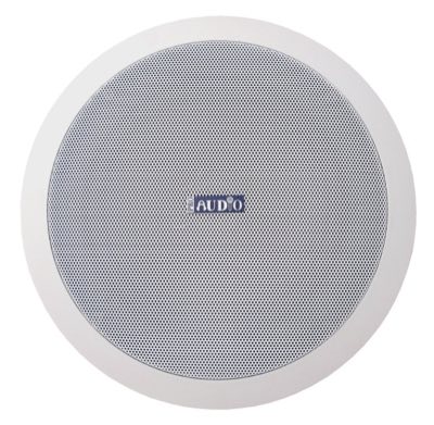 PROAUDIO CS-10 потолочный громкоговоритель