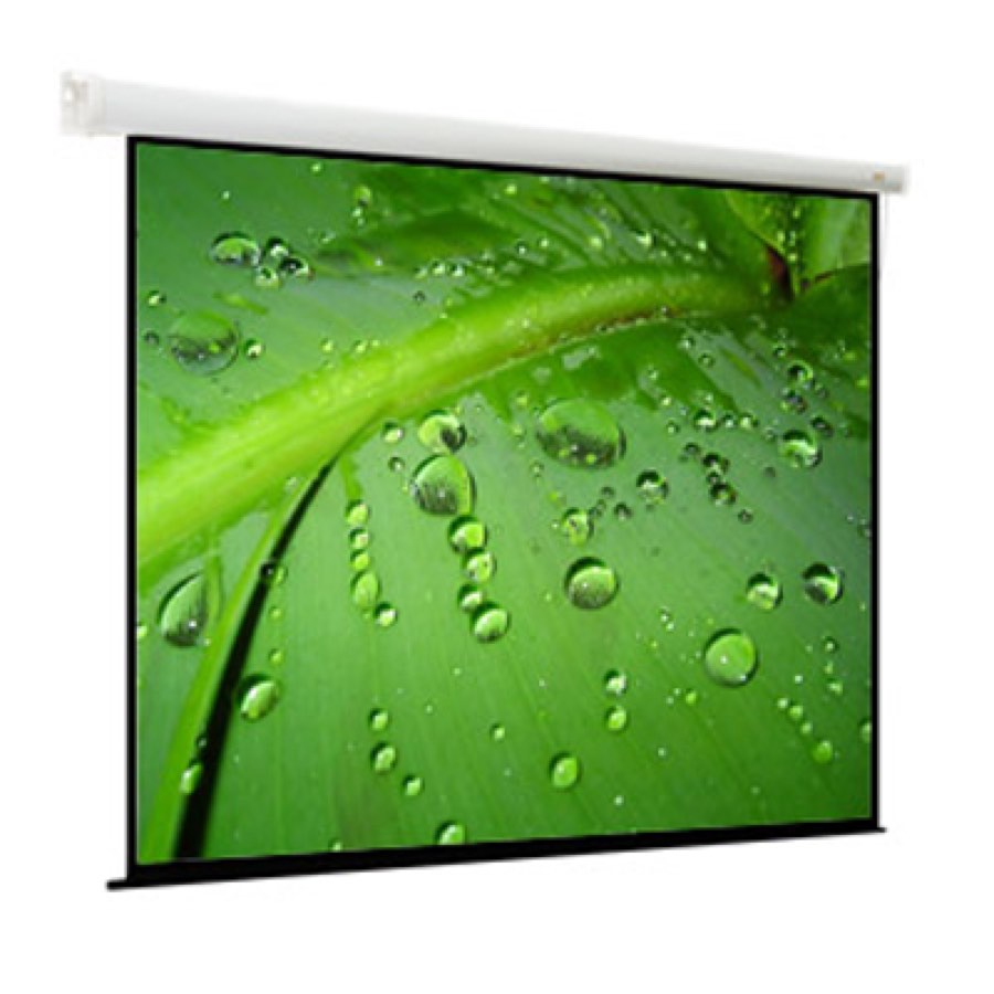 Экран моторизированный Viewscreen Breston (4:3) 244*183 (236*175) MW
