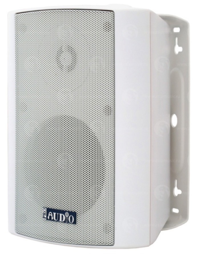 PROAUDIO MS-120 Трансляционный громкоговоритель 10 Вт,