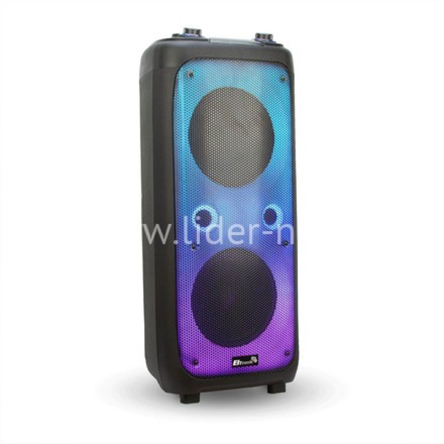 Колонка ELTRONIC 10" (20-62 FIRE BOX 1000) динамик 2шт/10"  с TWS