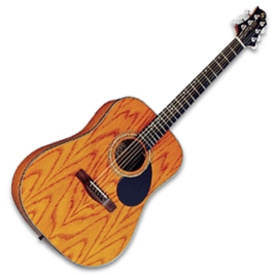 GregBennett D4/AM