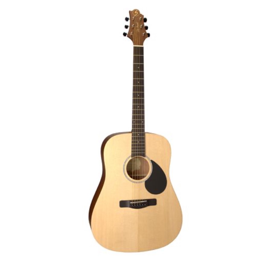 GregBennett GD50/OPN